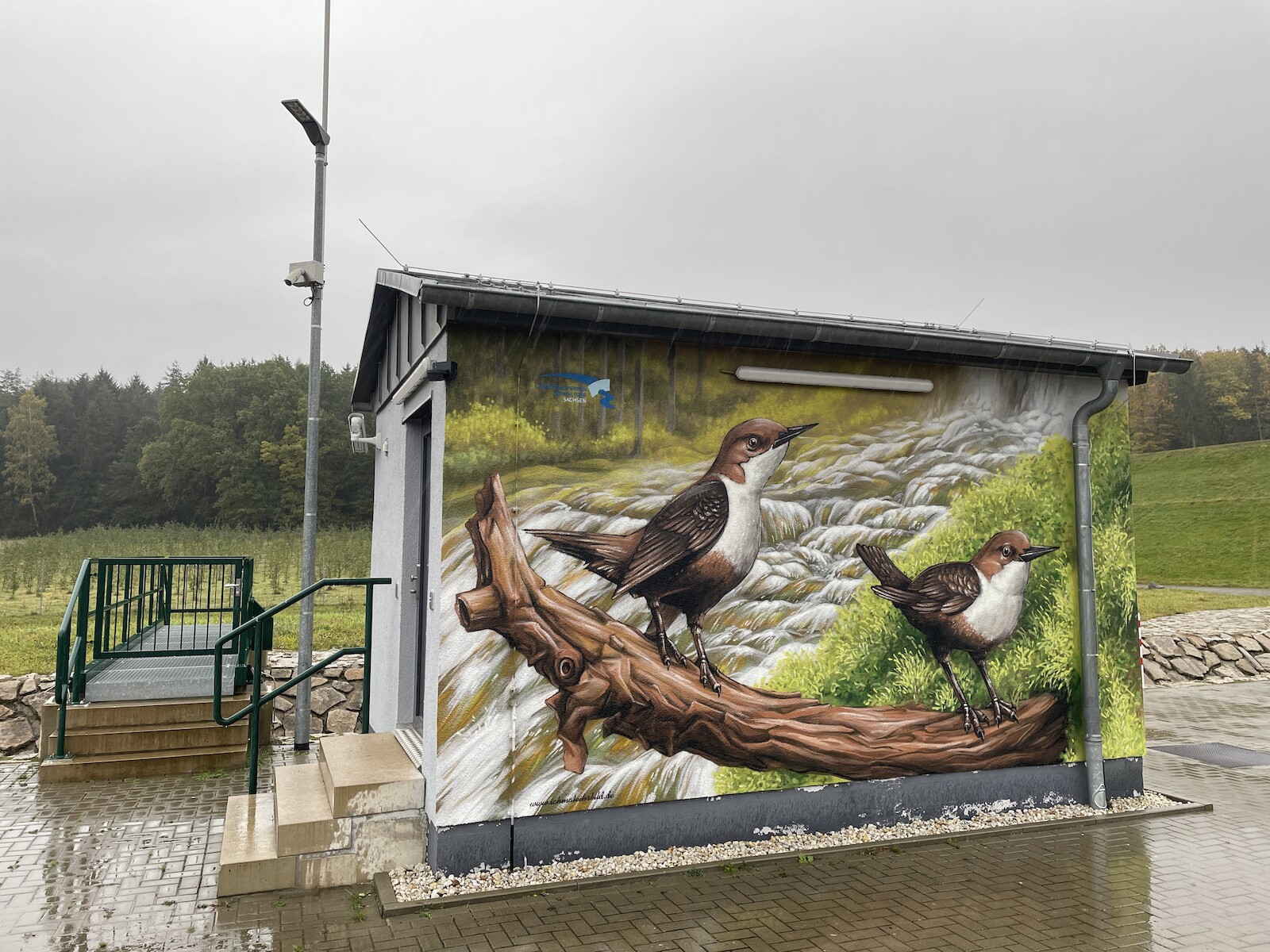 talsperre_wasseramsel_hausgestaltung.jpg