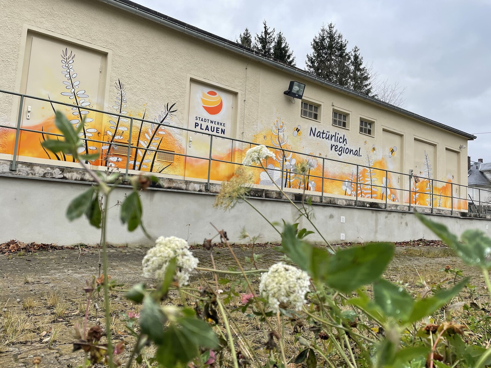 stadtwerke_strom_plauen_bienen_fassadengestaltung_trafostation.jpg